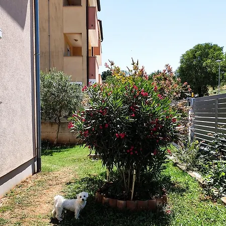 Apartmán Katarina 1 Istra Centar Pula