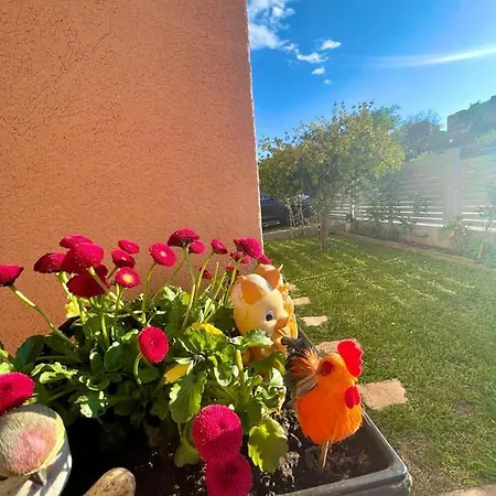 Apartment Katarina 1 Istra Centar *